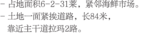 - 占地面积6-2-31莱，紧邻海鲜市场。 - 土地一面紧挨道路，长84米， 靠近主干道拉玛2路。